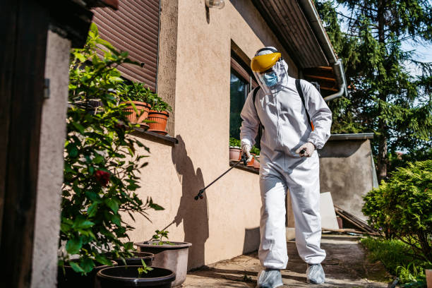 Best Flea Control Services  in Payson, AZ