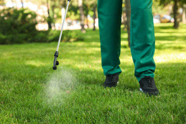 Best Pest Control for Businesses  in Payson, AZ