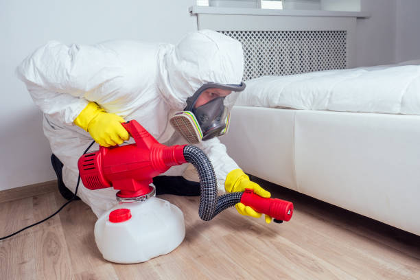 Best Best Pest Control Companies  in Payson, AZ