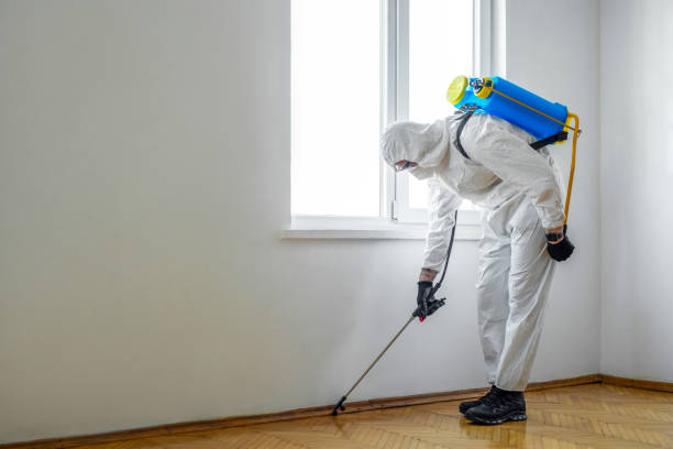 Reliable Payson, AZ Pest Control Solutions