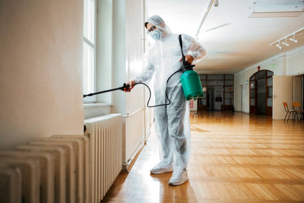 Wildlife Control Services in Payson, AZ